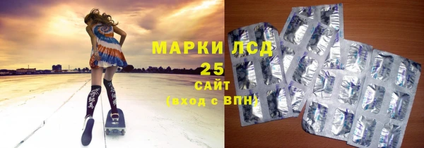 ГАЛЛЮЦИНОГЕННЫЕ ГРИБЫ Горняк