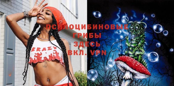 Альфа ПВП Горно-Алтайск