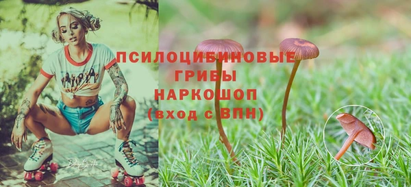 mdpv Гусиноозёрск