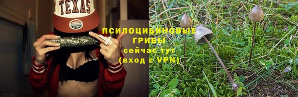 Альфа ПВП Горно-Алтайск
