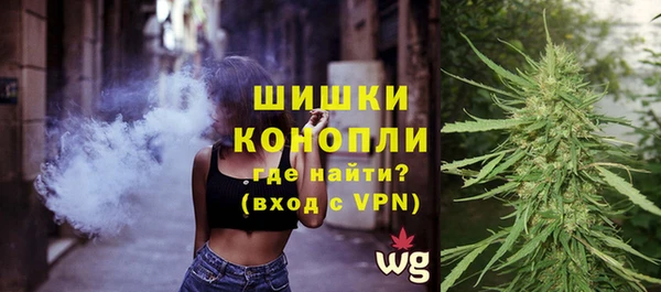 ГАЛЛЮЦИНОГЕННЫЕ ГРИБЫ Горняк