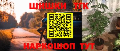 амф Кингисепп