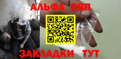 амф Кингисепп