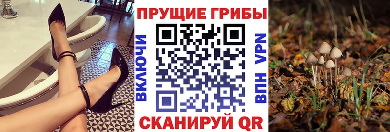 Псилоцибиновые грибы ЛСД  Нурлат 
