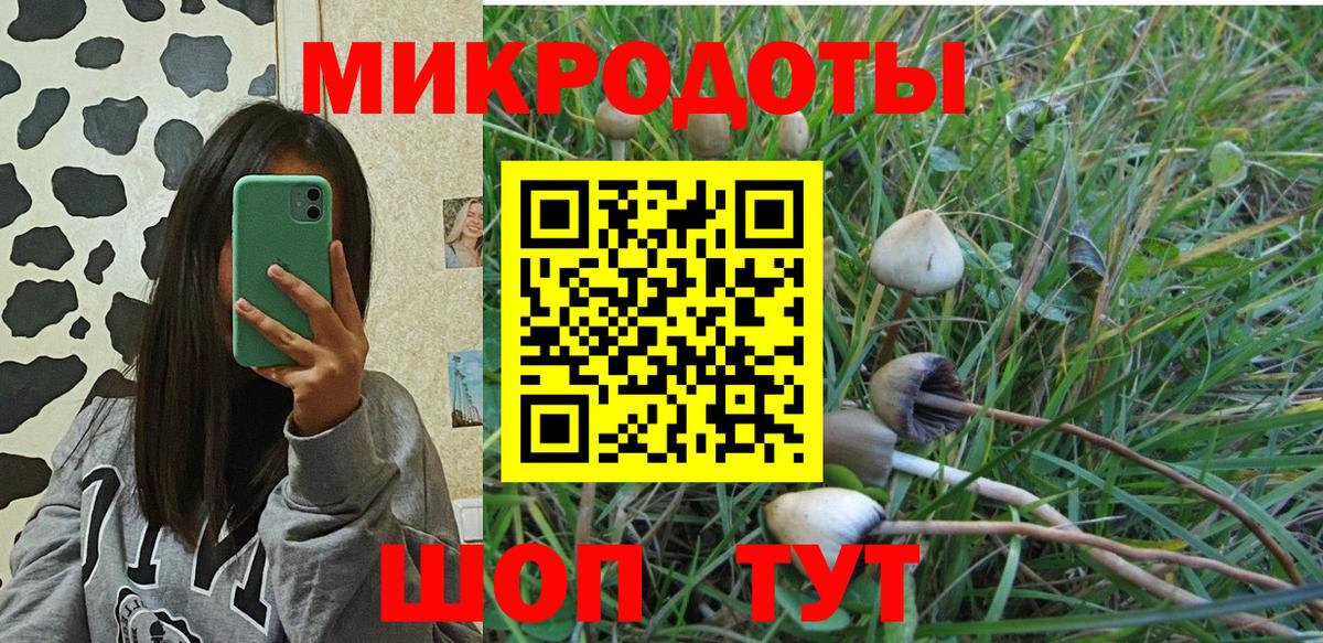 Галлюциногенные грибы GOLDEN TEACHER Нурлат
