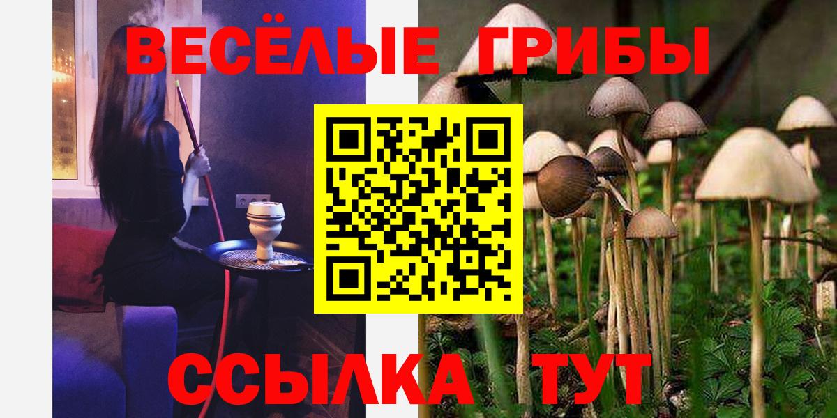 Псилоцибиновые грибы Magic Shrooms Нурлат