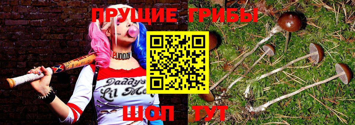 Галлюциногенные грибы Magic Shrooms  Нурлат 