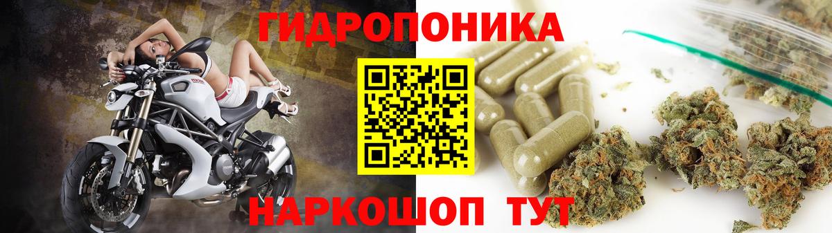 Каннабис MAZAR Нурлат